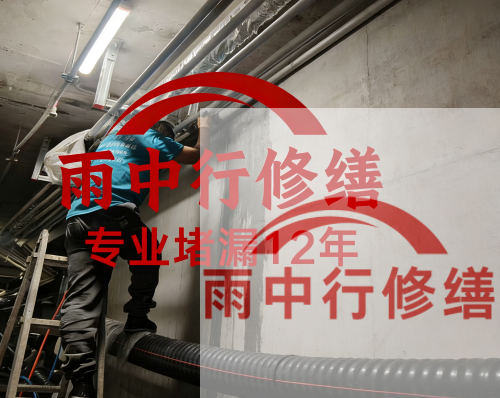 衢州电缆线空洞堵漏加固案例