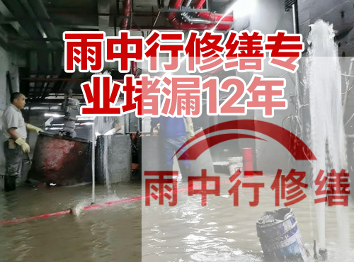 衢州中国五矿某大型污水处理厂堵漏案例